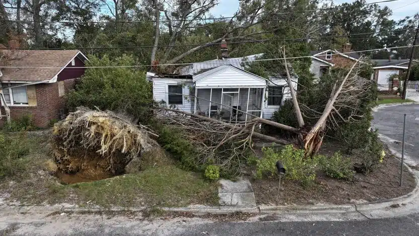 Hurricane Helene Damage - The Home Atlas