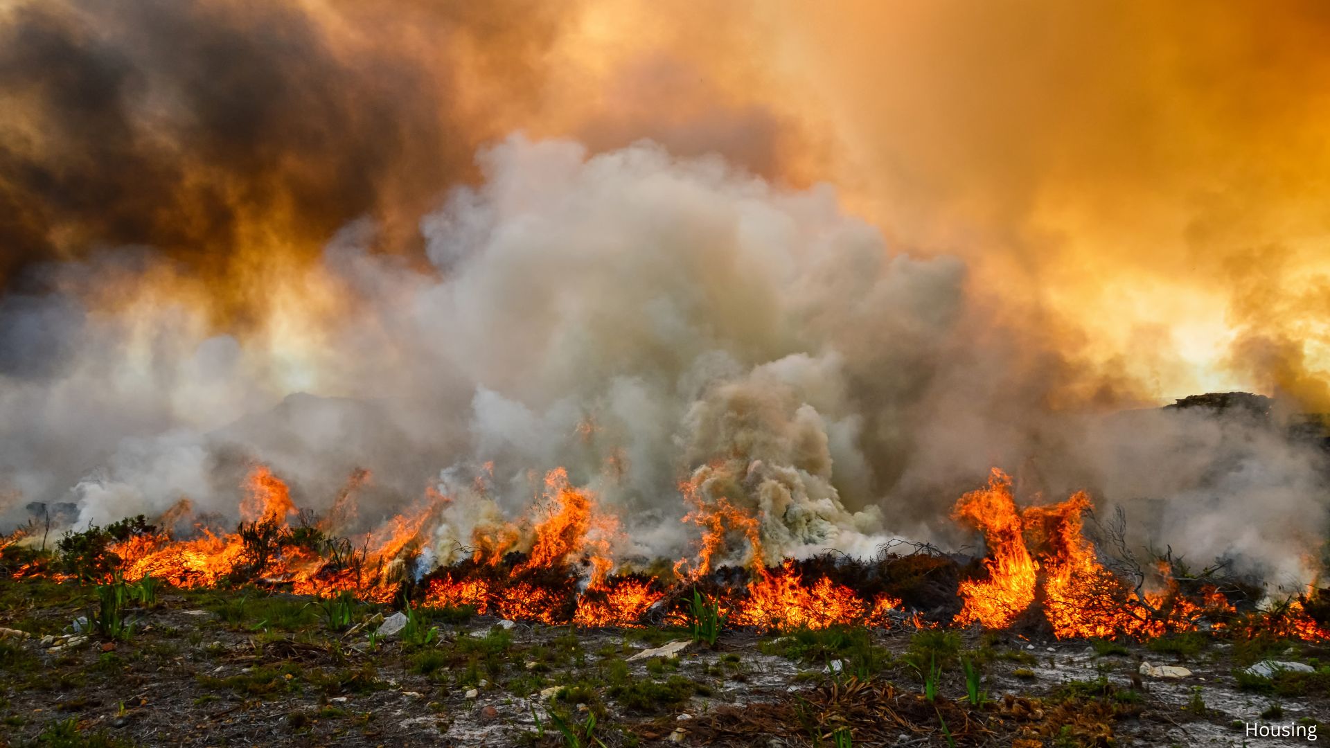 Los Angeles Wildfires