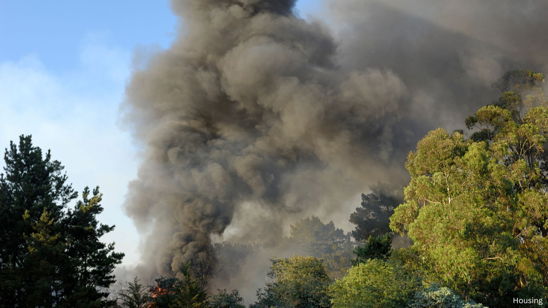 Los Angeles Wildfires